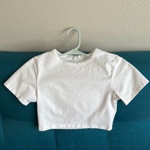 NEVER WORN Glassons Baby Crop Top in White